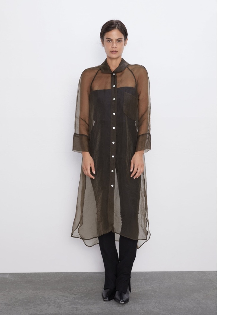 Zara Sheer Organza Long Top